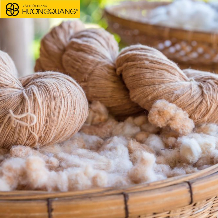 Sợi vải Organic Cotton so với sợi cotton thông thường có gì khác biệt?